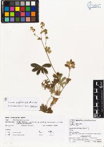 SW_BNB_s3070-03634_IMG-0000000001