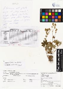 SW_BNB_s3070-03635_IMG-0000000001
