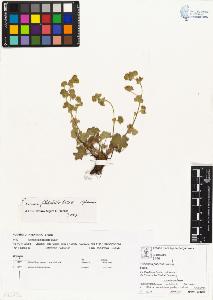 SW_BNB_s3070-03636_IMG-0000000001