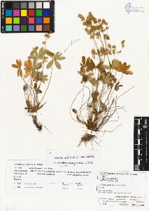 SW_BNB_s3070-03637_IMG-0000000001