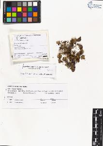 SW_BNB_s3070-03638_IMG-0000000001