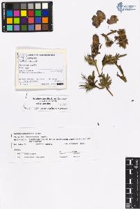 SW_BNB_s3070-03641_IMG-0000000001