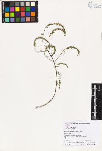 SW_BNB_s3070-03651_IMG-0000000001