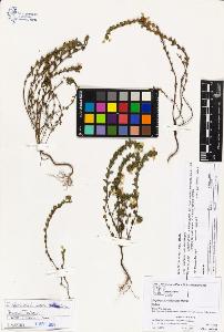 SW_BNB_s3070-03656_IMG-0000000001