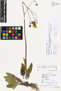 SW_BNB_s3070-03658_IMG-0000000001