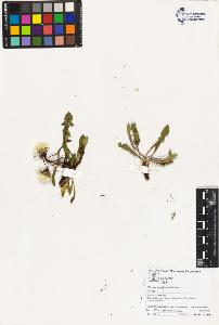 SW_BNB_s3070-03662_IMG-0000000001