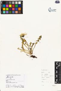 SW_BNB_s3070-03665_IMG-0000000001