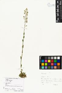 SW_BNB_s3070-03670_IMG-0000000001