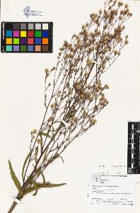 SW_BNB_s3070-03683_IMG-0000000001
