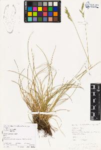 SW_BNB_s3070-03691_IMG-0000000001