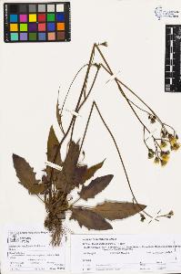 SW_BNB_s3070-03695_IMG-0000000001