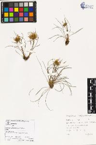 SW_BNB_s3070-03697_IMG-0000000001