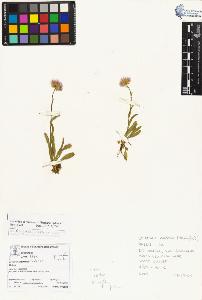 SW_BNB_s3070-03698_IMG-0000000001