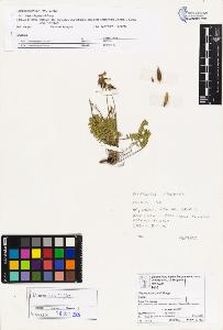 SW_BNB_s3070-03700_IMG-0000000001