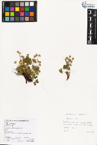 SW_BNB_s3070-03704_IMG-0000000001