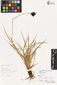 SW_BNB_s3070-03705_IMG-0000000001