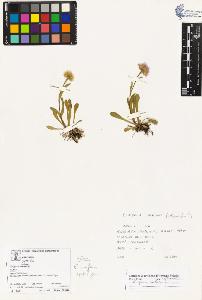 SW_BNB_s3070-03706_IMG-0000000001