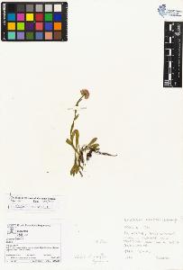 SW_BNB_s3070-03707_IMG-0000000001