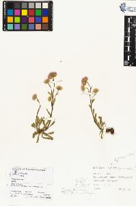 SW_BNB_s3070-03709_IMG-0000000001