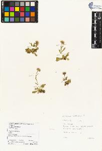 SW_BNB_s3070-03711_IMG-0000000001