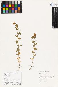 SW_BNB_s3070-03713_IMG-0000000001