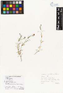 SW_BNB_s3070-03716_IMG-0000000001