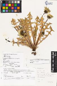SW_BNB_s3070-03718_IMG-0000000001