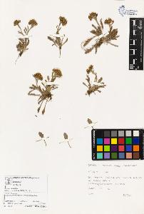 SW_BNB_s3070-03720_IMG-0000000001