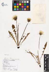 SW_BNB_s3070-03721_IMG-0000000001