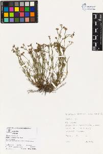 SW_BNB_s3070-03722_IMG-0000000001