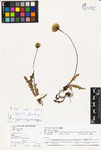 SW_BNB_s3070-03724_IMG-0000000001