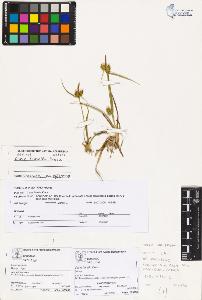SW_BNB_s3070-03727_IMG-0000000001