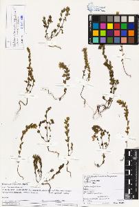 SW_BNB_s3070-03731_IMG-0000000001