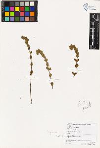SW_BNB_s3070-03732_IMG-0000000001