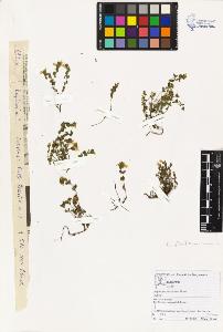 SW_BNB_s3070-03733_IMG-0000000001