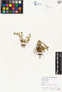 SW_BNB_s3070-03734_IMG-0000000001