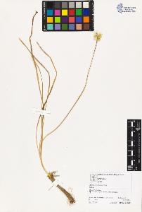 SW_BNB_s3070-03735_IMG-0000000001