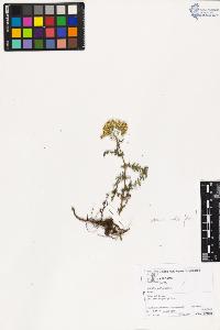 SW_BNB_s3070-03736_IMG-0000000001