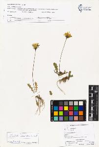 SW_BNB_s3070-03737_IMG-0000000001