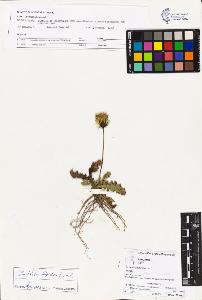 SW_BNB_s3070-03738_IMG-0000000001