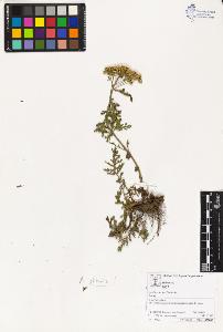 SW_BNB_s3070-03739_IMG-0000000001