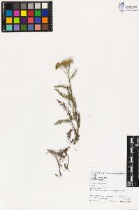 SW_BNB_s3070-03740_IMG-0000000001
