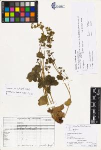 SW_BNB_s3070-03741_IMG-0000000001