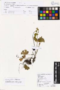 SW_BNB_s3070-03742_IMG-0000000001