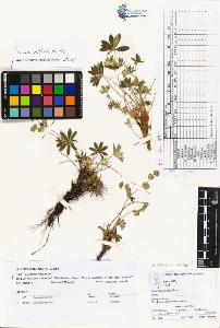 SW_BNB_s3070-03745_IMG-0000000001