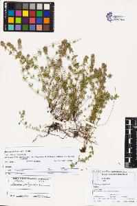 SW_BNB_s3070-03750_IMG-0000000001