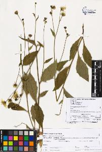 SW_BNB_s3070-03752_IMG-0000000001