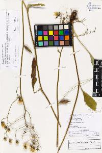 SW_BNB_s3070-03753_IMG-0000000001