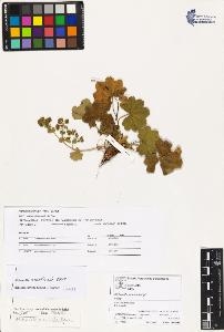 SW_BNB_s3070-03759_IMG-0000000001