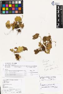 SW_BNB_s3070-03760_IMG-0000000001